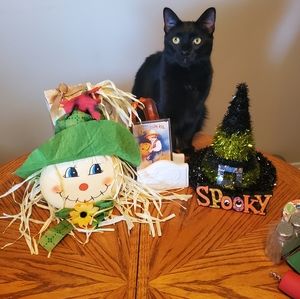 Autumn/Halloween Decor